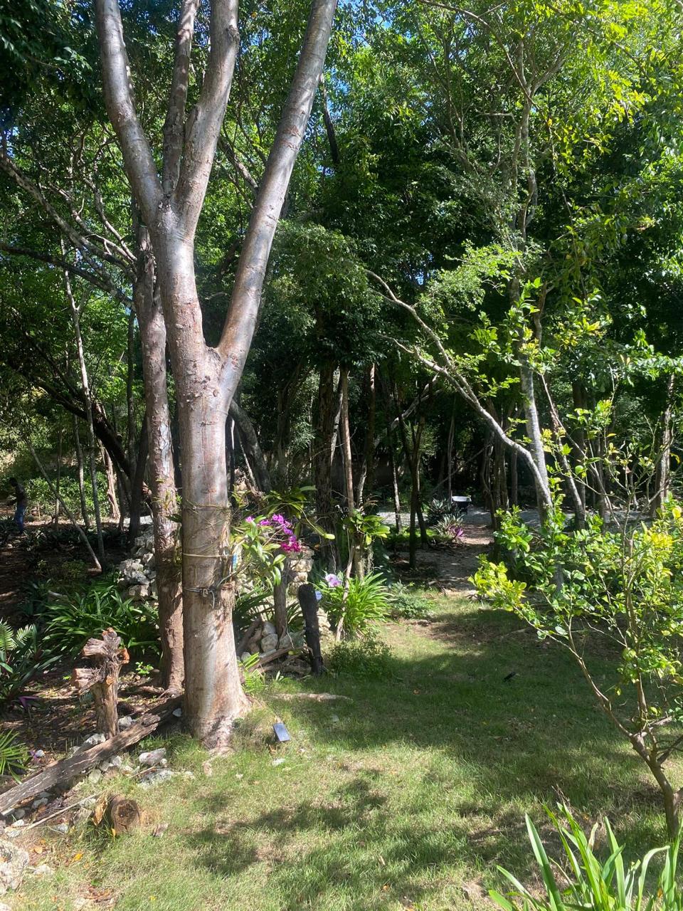 Villa Eden Punta Cana